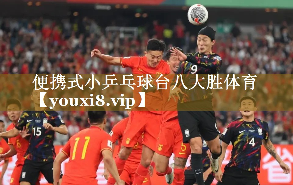 便携式小乒乓球台八大胜体育