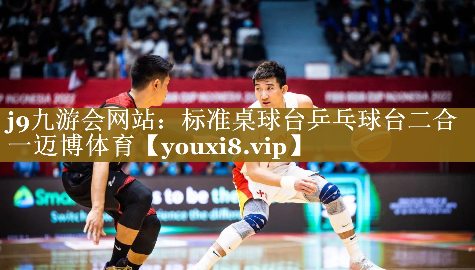j9九游会网站：标准桌球台乒乓球台二合一迈博体育