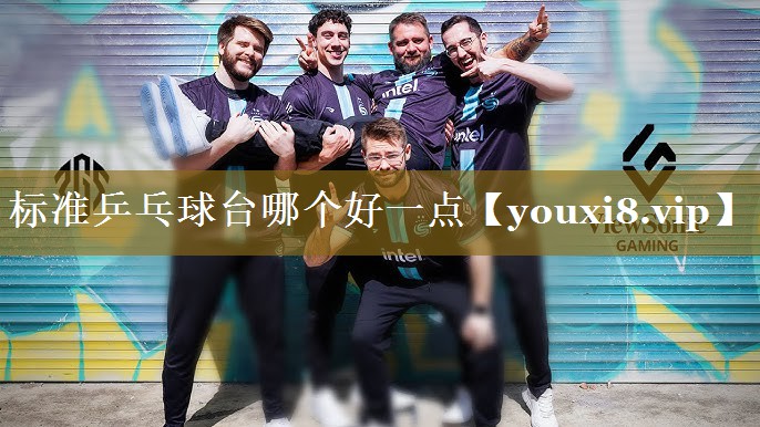 标准乒乓球台哪个好一点