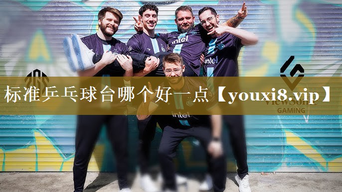 标准乒乓球台哪个好一点 标准乒乓球台哪个好一点