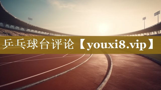 乒乓球台评论